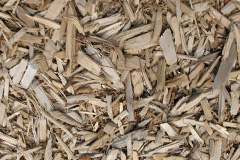 biomass boilers Halse